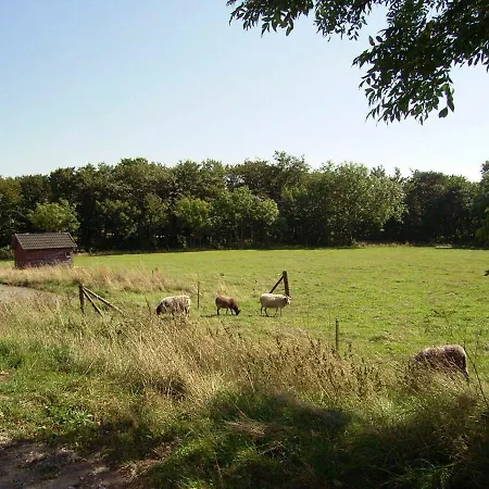 Rustic Holiday Home In Aakirkeby On Natural Plot * Åkirkeby